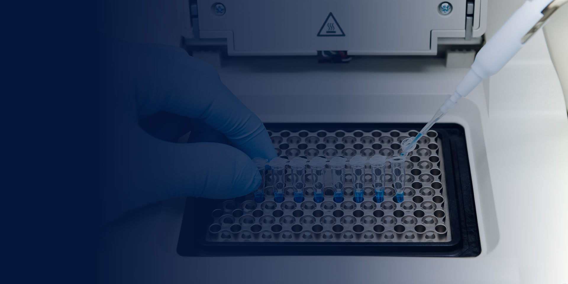 驱动精准未来的