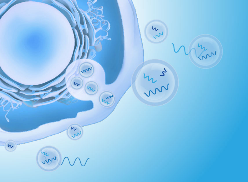 细胞外囊泡分离富集解决方案